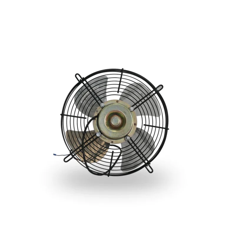 Fan