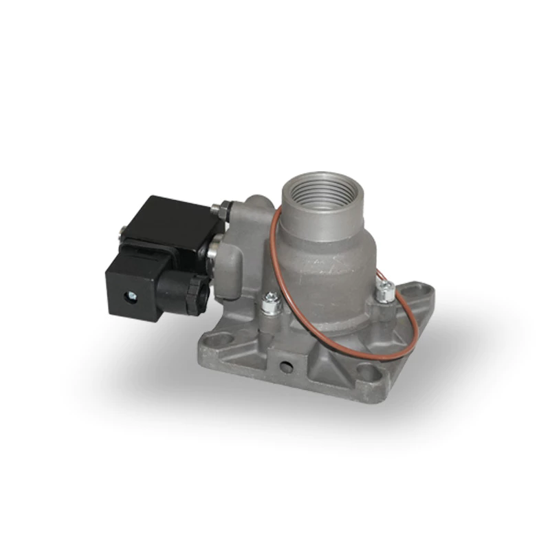 Intake valve